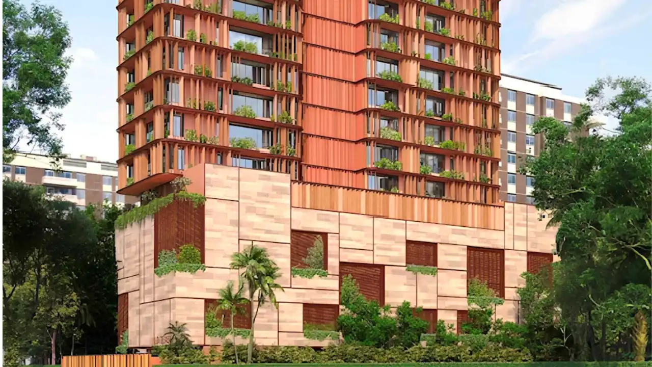 Girish Wild Teasel Project Images 2