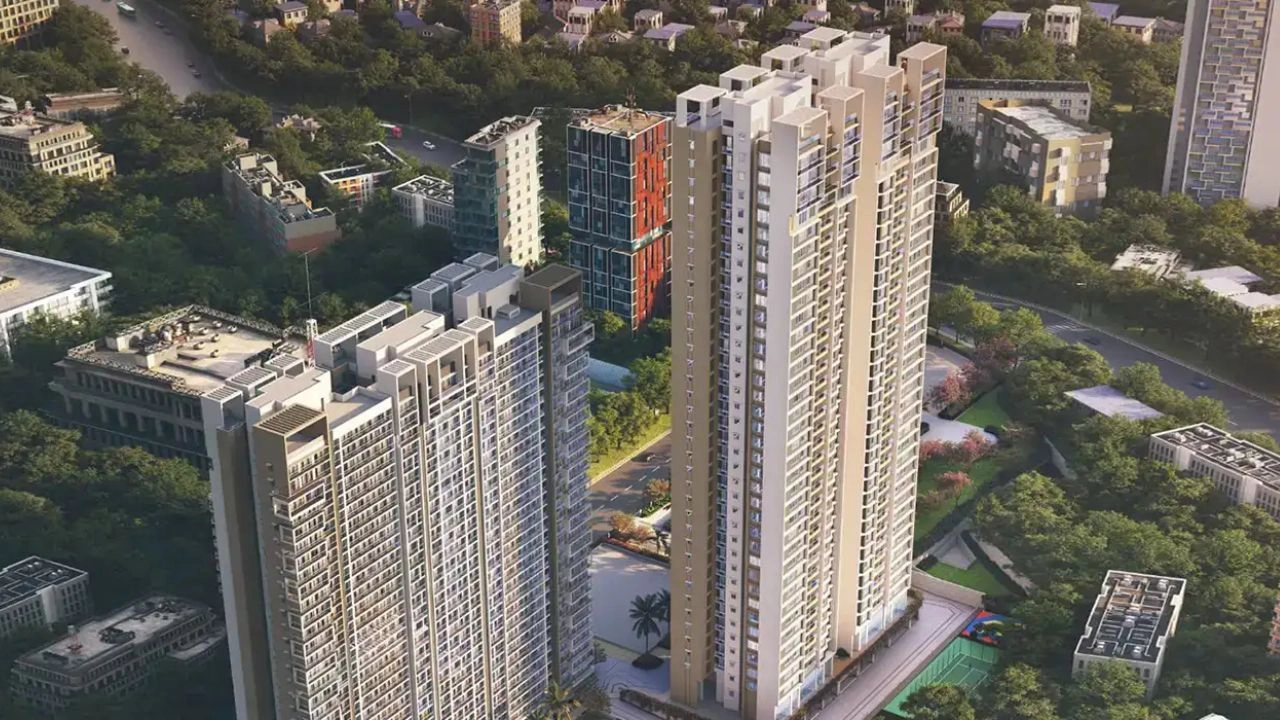 Tapir's Embassy One Thane